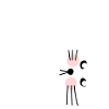 Miaou miaou chat