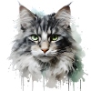 Cute Cat Face