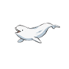 Baleine blanche Béluga