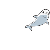 Baleine blanche Béluga