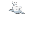 White Whale Beluga Whale