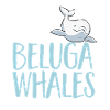 Baleine blanche Béluga