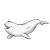 Baleine blanche Béluga