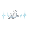 White Whale Beluga Whale