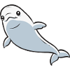 White Whale Beluga Whale