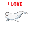 Baleine blanche Béluga