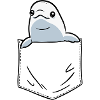 White Whale Beluga Whale