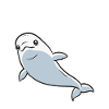 Baleine blanche Béluga