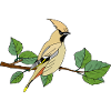 Bunter Vogel
