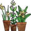 Blumen