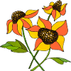 Fleur