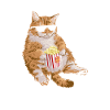 Enjoy lazy style