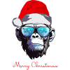 Merry Christmas 2023