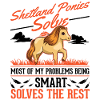 Shetland Pony Gift Shetty