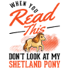 Shetland poney cadeau Shetty