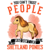 Shetland poney cadeau Shetty