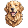 Cute Cartoon Golden Retriver