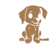Rescue Dog