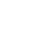 Braunbär Bär