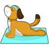 Dog Yoga Fitness Gymnastics