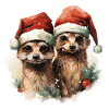 Meerkat with Santa hat
