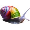 Bunte Schnecke 2