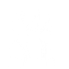 Frettchen mit Sonnenbrille Coole Frettchen