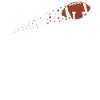 Legendary Football Star Flight