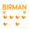 Stubborn Tricks Birman Cat