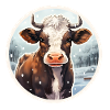 Rindkälbchen im Winter
