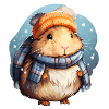 Winter guinea pig