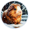 Guinea pig in winter night