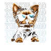 Yorkie Dad