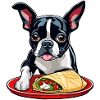 Boston Terrier avec Taco
