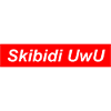 SKIBIDI UWU