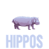 Hippopotame Hippopotame
