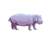 Hippopotame Hippopotame