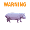Hippopotame Hippopotame