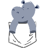 Hippopotame Hippopotame