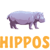 Hippopotame Hippopotame