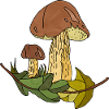 Mycètes