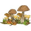 Pilze