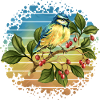 Bunter Vogel