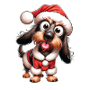 Teckel à poil dur Noël