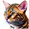 Bengalkatze Kätzchen Bengalkätzchen Katzenbesitzer