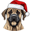 Boerboel Dog Christmas Head