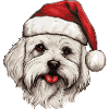 Maltese Dog Christmas Head