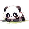 Adorable Panda