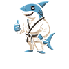 Krav Maga