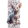 Sphynx Cat calligraphitti